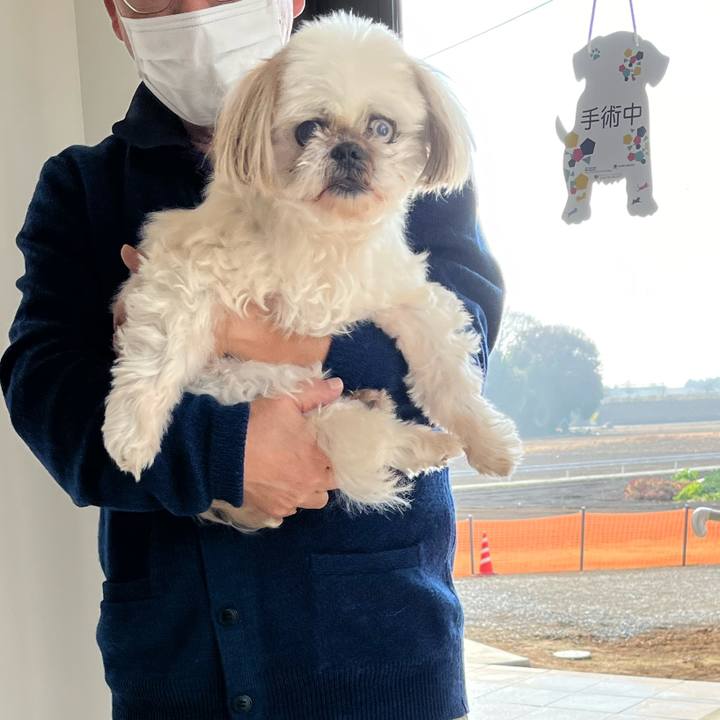 3eaa30d8 b78b 4a03 811d edc6b714a33a 1702704801582