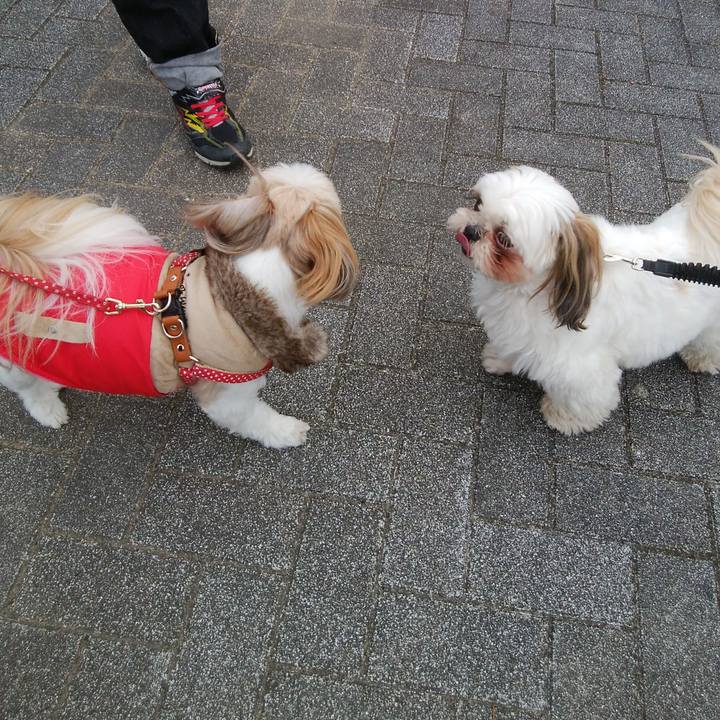 3eaa5c79 5edb 4b60 ae8c 9f1cee218c45 1515200555889