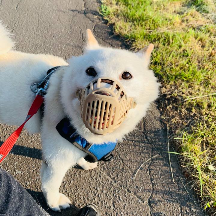 3eaa685b 7bb8 4707 865c ecf25fcf75ba 1623534529526