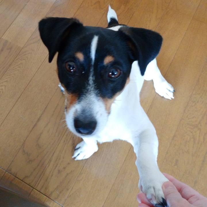 3eaa8a91 d281 4492 a054 5578e22a69fa 1584794572665