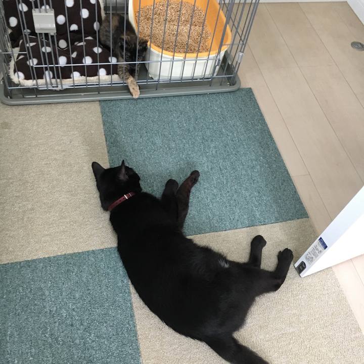 3eaa8f3e f059 4fec b994 56a32d426fe2 1564026939114