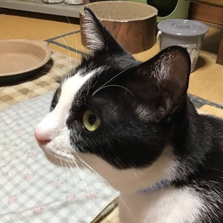 3eaa9adf 789d 422c 9405 f2afa2f04988 1730970070673