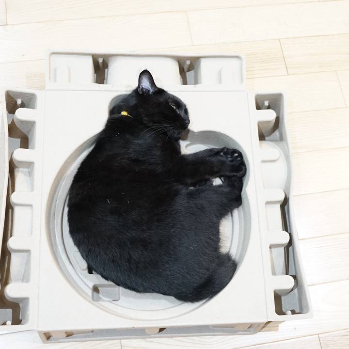 3eaaa589 09b1 4150 86e3 543f51c123f9 1562542208848