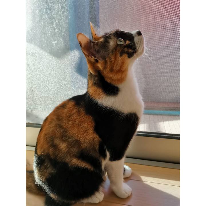 3eaaf346 2be2 4111 8a77 5998adb05764 1634011480790