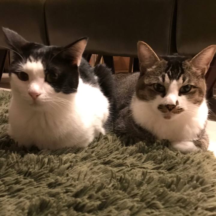 3eab319c bb55 466b b92b 23b096af71fd 1508846503324