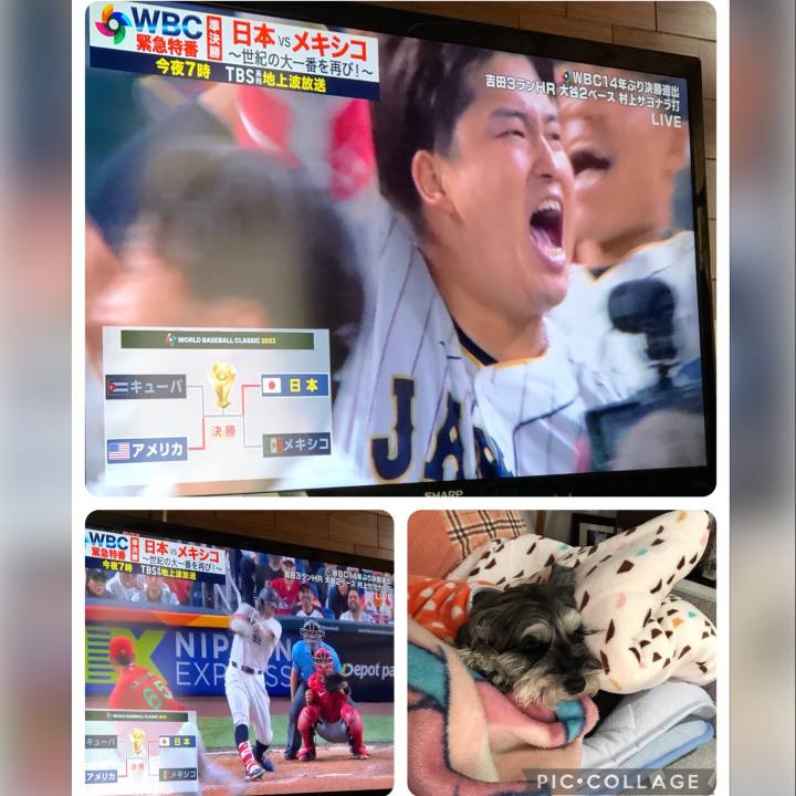 3eab7d6a fce4 4640 9db8 ed29697d107e 1679368229748