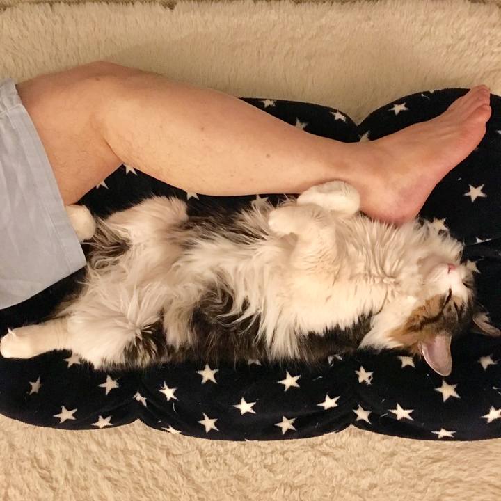 3eab7ecb cb40 4b2e ae35 73e078c972b1 1519355022343