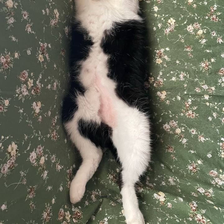 3eab926a 34b4 4d6b 8a20 b9dcd0322571 1688783167031