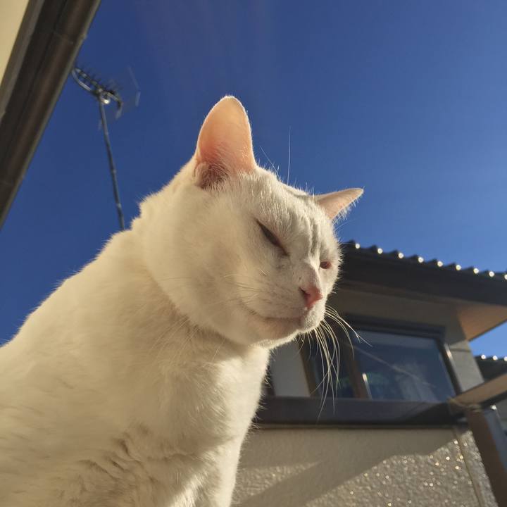 3eabad57 feec 4c39 a213 48b651e7c9ad 1514851143468