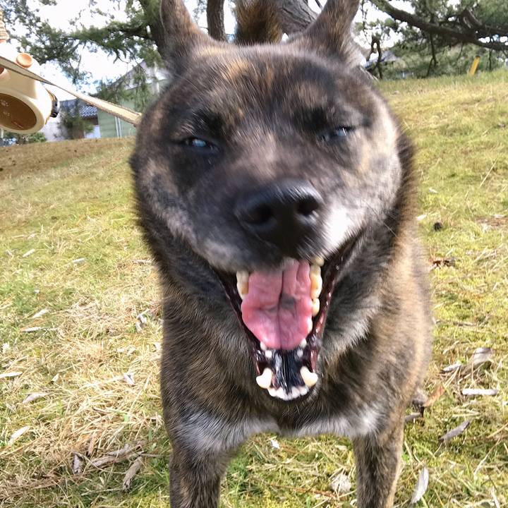 3eabe01f 5fe2 44b9 b759 c5d2373b0a0c 1550467381489