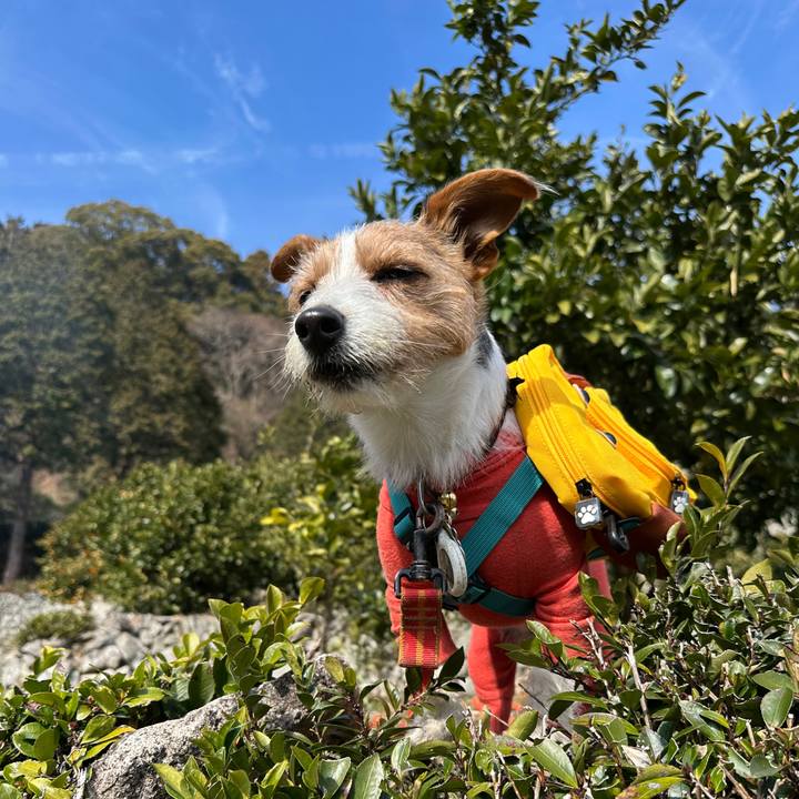 3eac18ed d121 4c12 beba b3607dcf2cf6 1771072024977