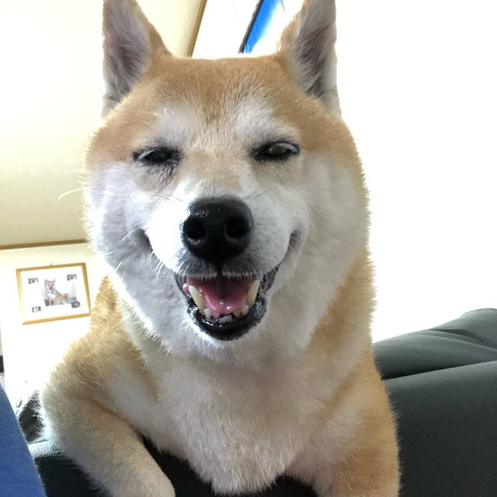 3eac27f5 396f 44cf bb45 1bdf2f6a17d2 1593393215895