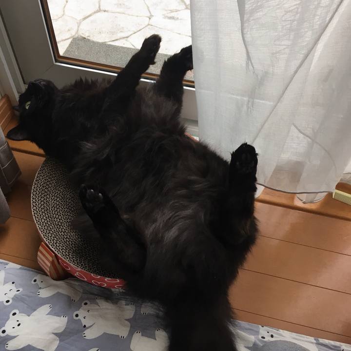 3eac3148 e260 45ac a3ce ce2f3bea9f31 1524619614192