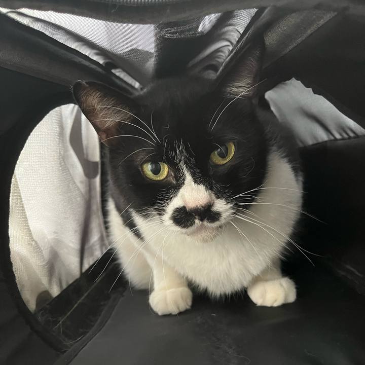 3eac3cb7 b694 4408 b562 bf6a9e81d541 1699229242456