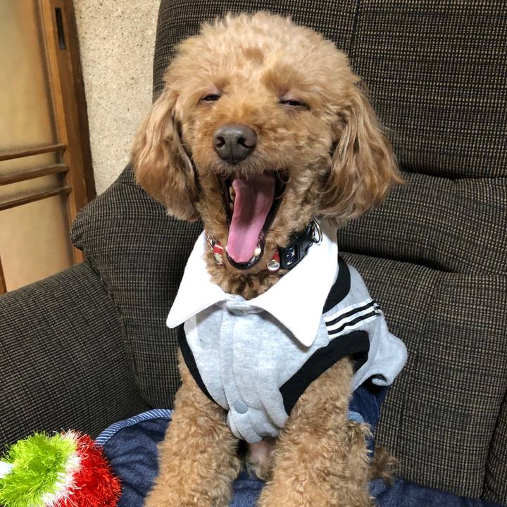 3eaca1ba 596d 42ac b9ff 378f08f7ed9c 1618563807649