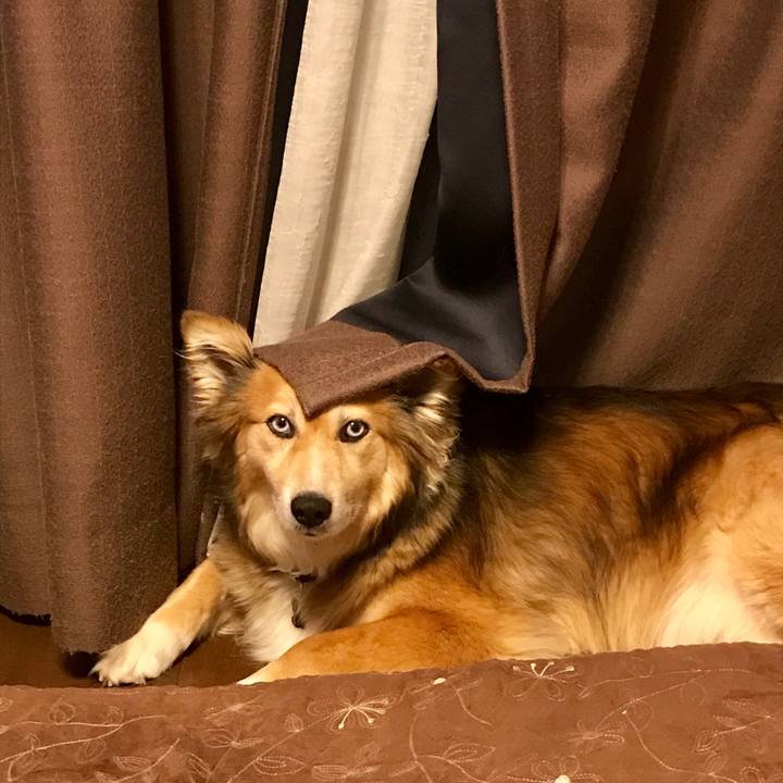 3eaca9f8 316b 4f91 b371 fbe085ef395f 1525523257788