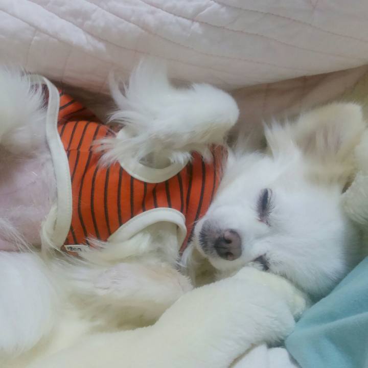 3eacb22b 977b 48ab b239 347fa9e4465c 1508246732826