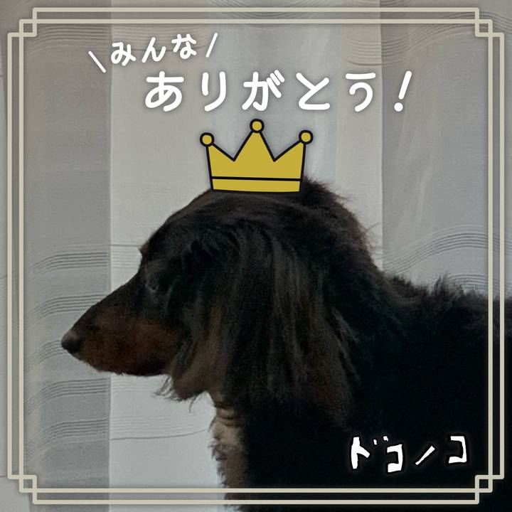 3eacd4cc 4fc3 40d7 b852 c93f4b641653 1623135217524