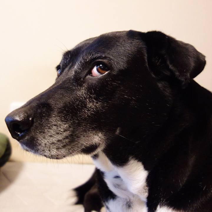 3eacd5cd a502 4e33 a129 4c599106c0f1 1746320772415