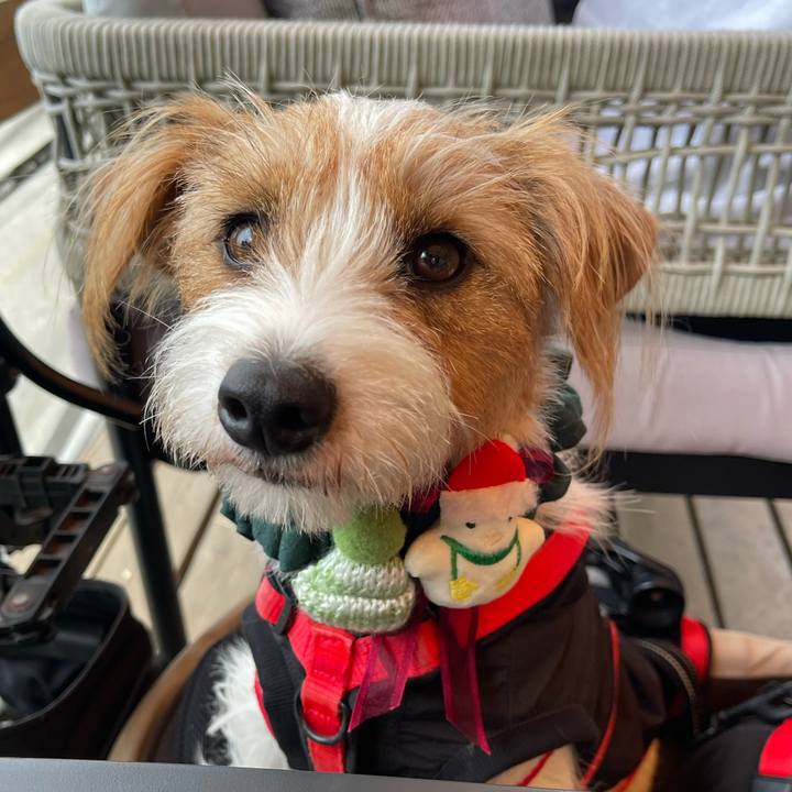 3eacfa84 e2d8 475e 85e8 d4b7d463a40b 1763901271709