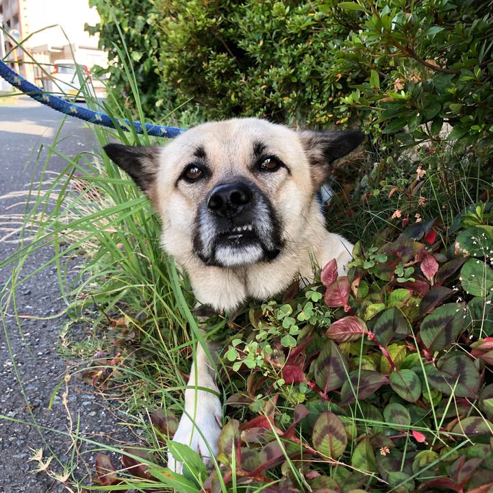 3eacfedc 74a4 4c05 9d36 0188f6ad6b1f 1532343856671