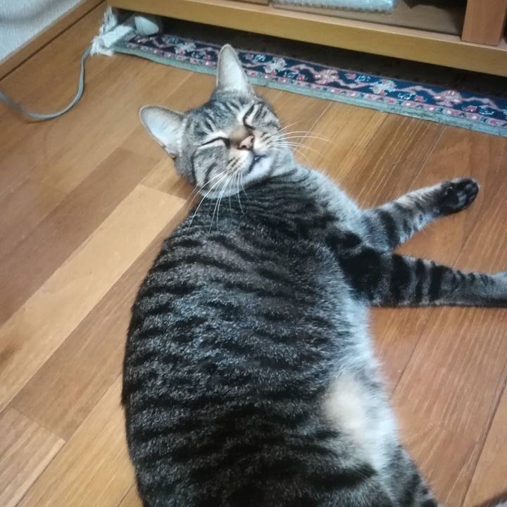 3ead2204 db59 4538 89c0 d7925e952bb6 1531800276488