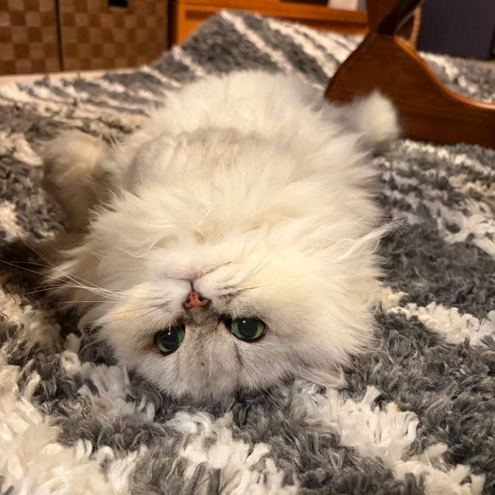 3ead28de 7f72 493c afd9 ea7910baf528 1763034605316