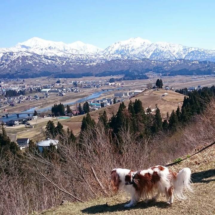 3ead29ff 7606 4266 8bb2 59bcebcd12cf 1555135677568