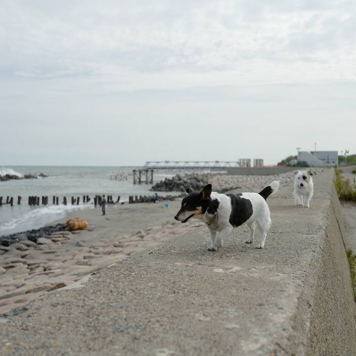 3ead43f0 0fda 4a5c 958e 49bea3002586 1528603882026