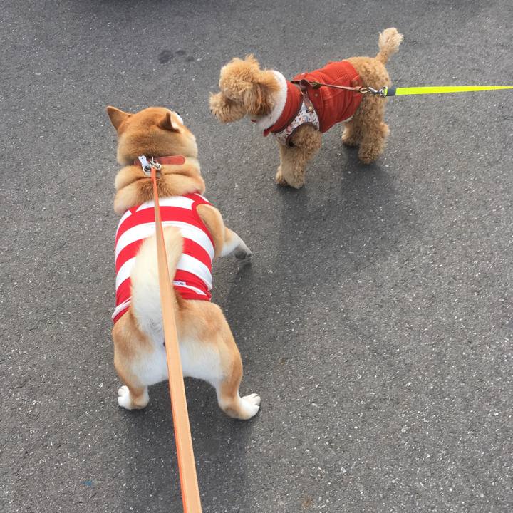 3ead4ef8 9c59 4792 aa51 41a8fe4dacbd 1548391331818