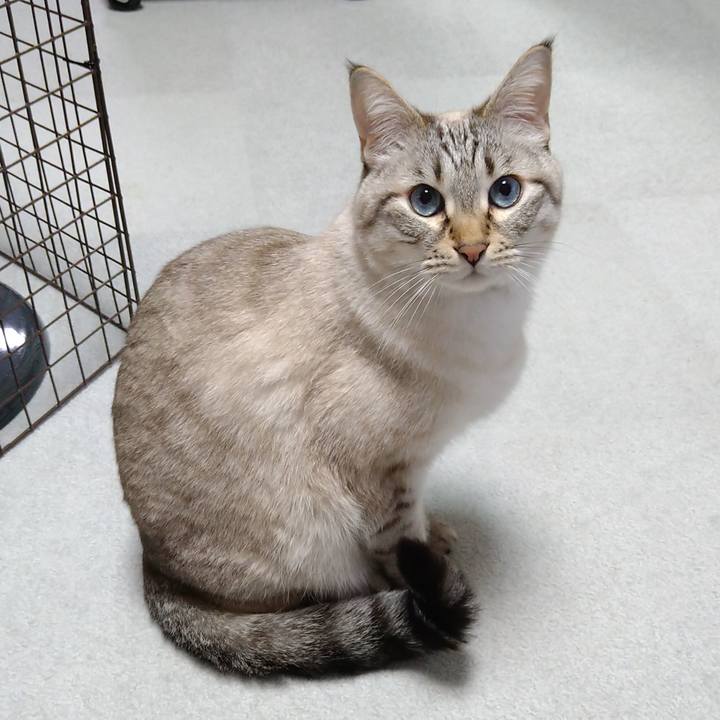 3ead8887 ebec 4733 a96d 2cd49a636ba4 1678012924782