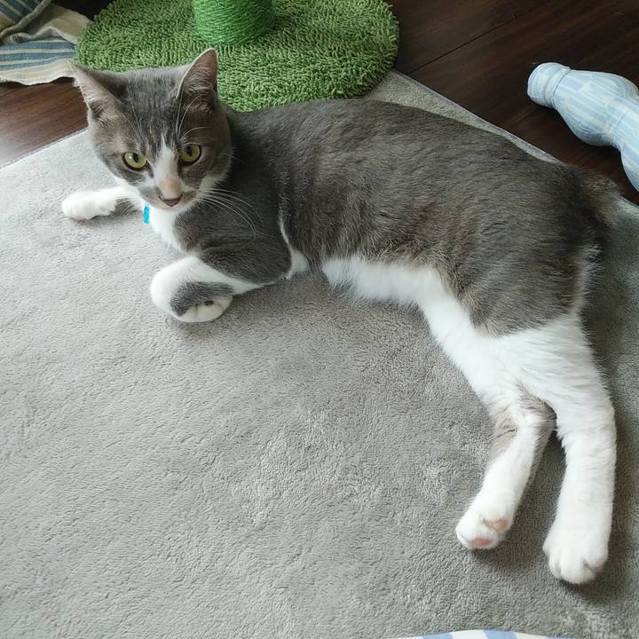 3eada5ce b83e 4e90 b477 87ebe190a315 1594171900095