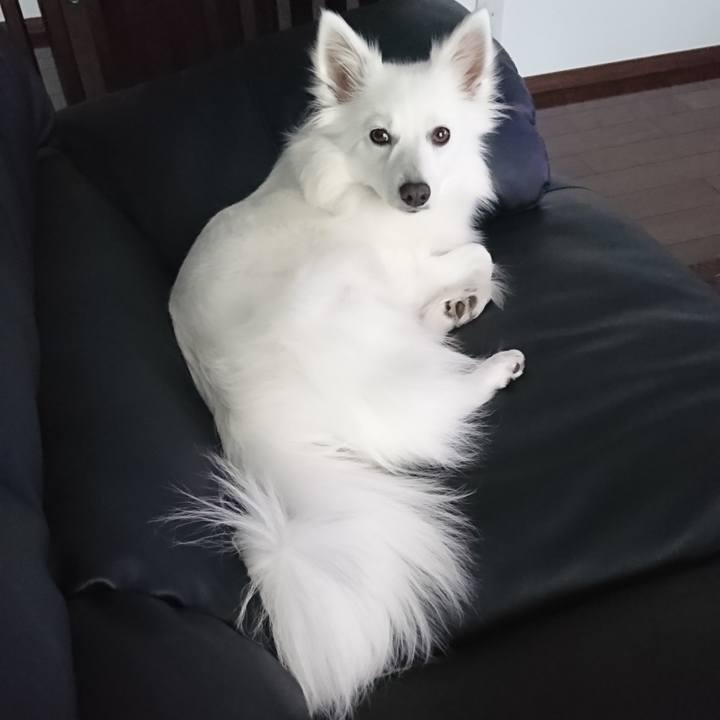 3eaddb83 6655 4a2c 8b94 7ad2b29d7aa7 1523608145494