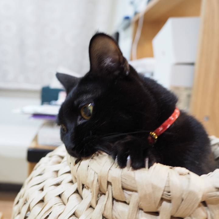 3eade104 5197 42ce a390 af83128deb26 1549583668607