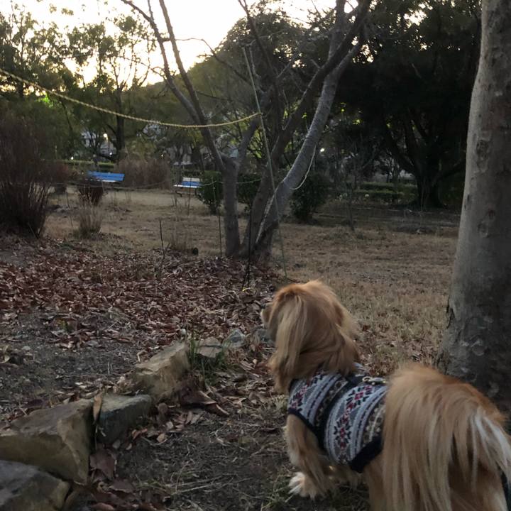 3eade71c ffbb 4234 b016 3c44ae6339f5 1548978561765