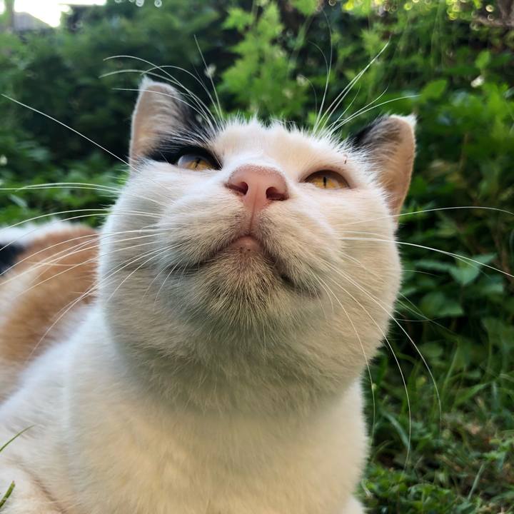 3eadfb02 446b 4432 bf56 3a5ebf164825 1598652917419