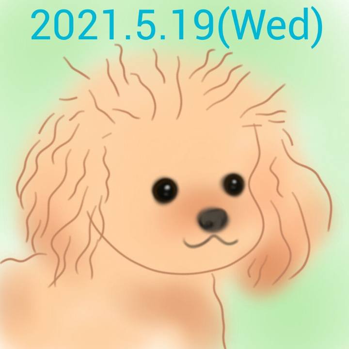 3eae0618 c901 4830 9068 e347081efd44 1621419998615