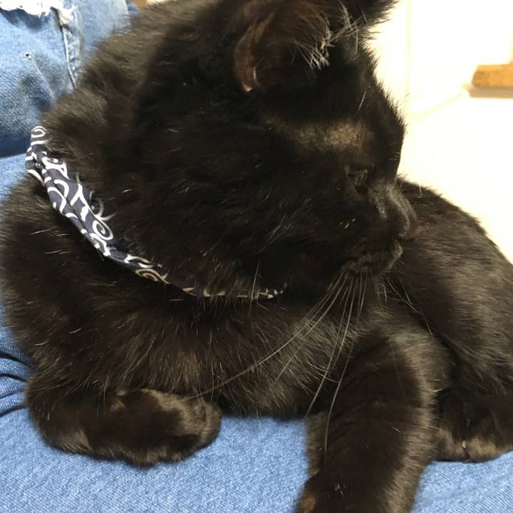 3eae6c45 b4f3 4c11 9238 c2ee2b7d2bd6 1538057239789