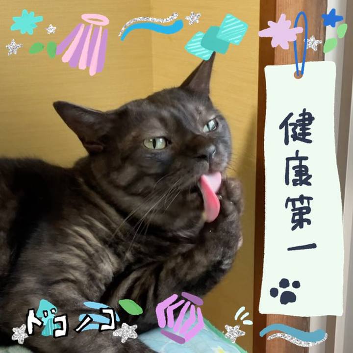 3eae745b 3632 4406 bbb5 26e5533817e3 1721101940996