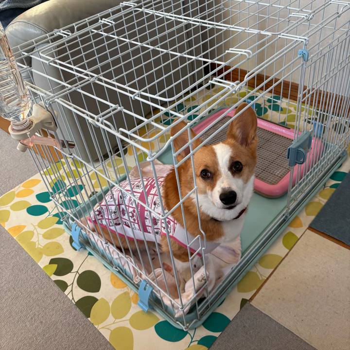 3eae8680 31ff 45ed be38 dfa895a40f37 1761981133042