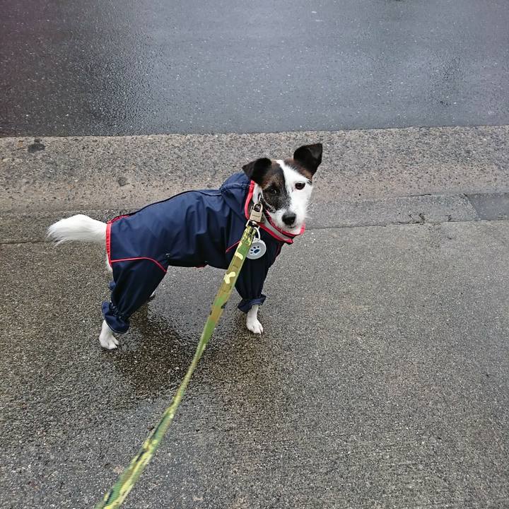 3eae9507 8bdc 42aa 8cf6 2a6fd700f69e 1508190536399