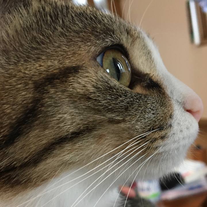 3eaefbb6 4942 49f6 8dbf 0bc5bca618b2 1667603747383