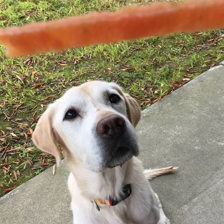 3eaf0a4c 6442 42a0 b430 57ffb4711795 1508048003585