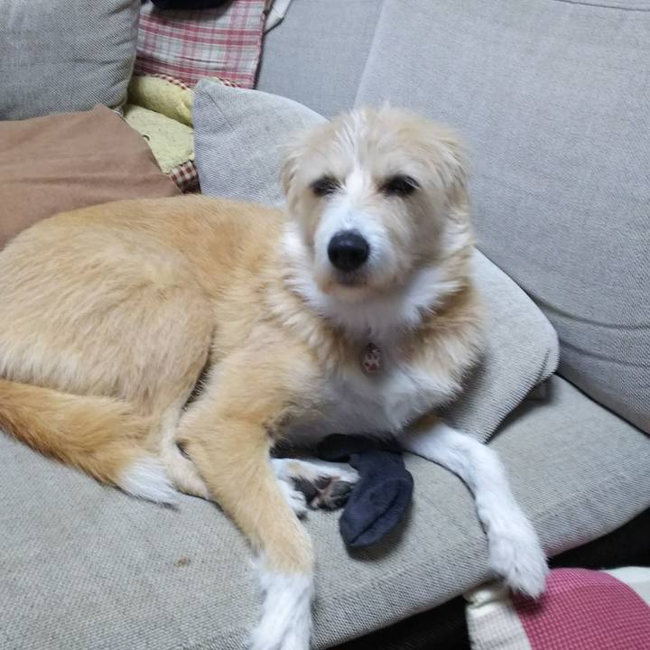 3eaf0e9f 50d0 41f8 bcdc 1b68c0624276 1540543364348