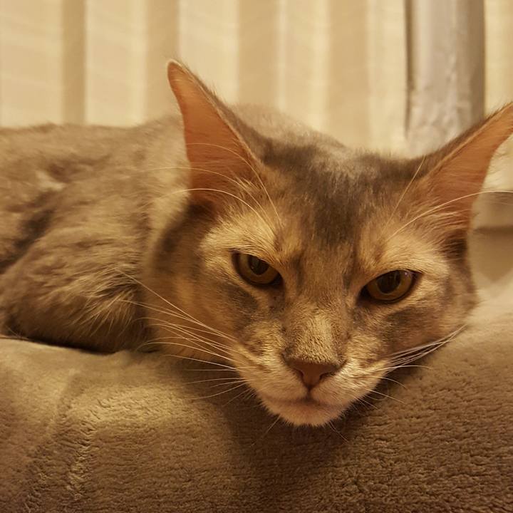 3eaf334e 4b65 45ad be8f 2ba6be538d43 1574419517136