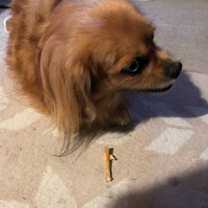 3eaf87ef ae2c 4184 b7b9 6b7e249130d0 1569016003275