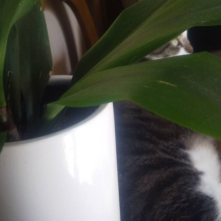 3eafb07e 32a1 4166 bd62 8df7044cbc3a 1693262873697