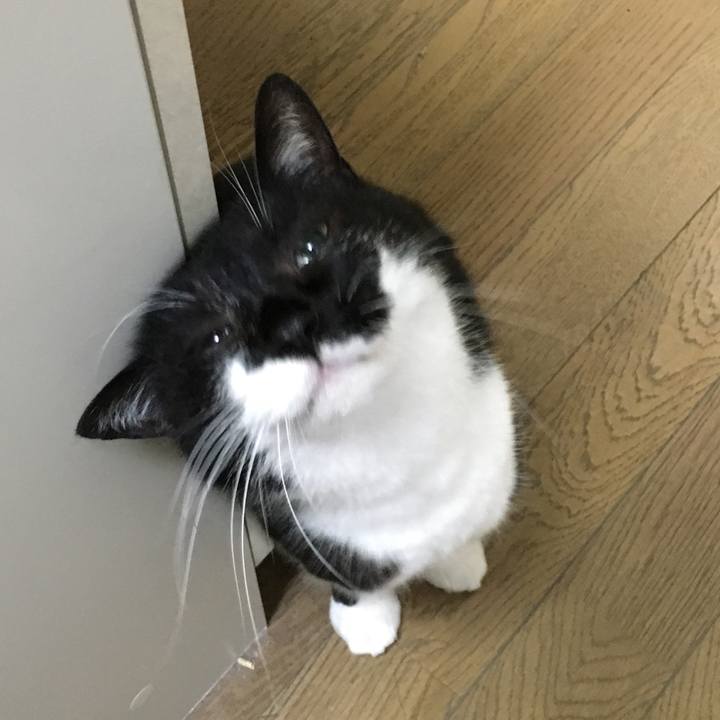 3eafb821 5eaf 4274 9258 5b9d2ad8c7ea 1563543905230