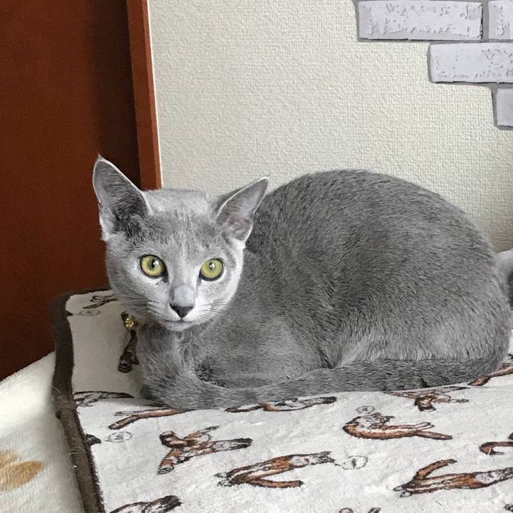 3eafba40 e767 4d6c 817b d701e3112eab 1511406182242