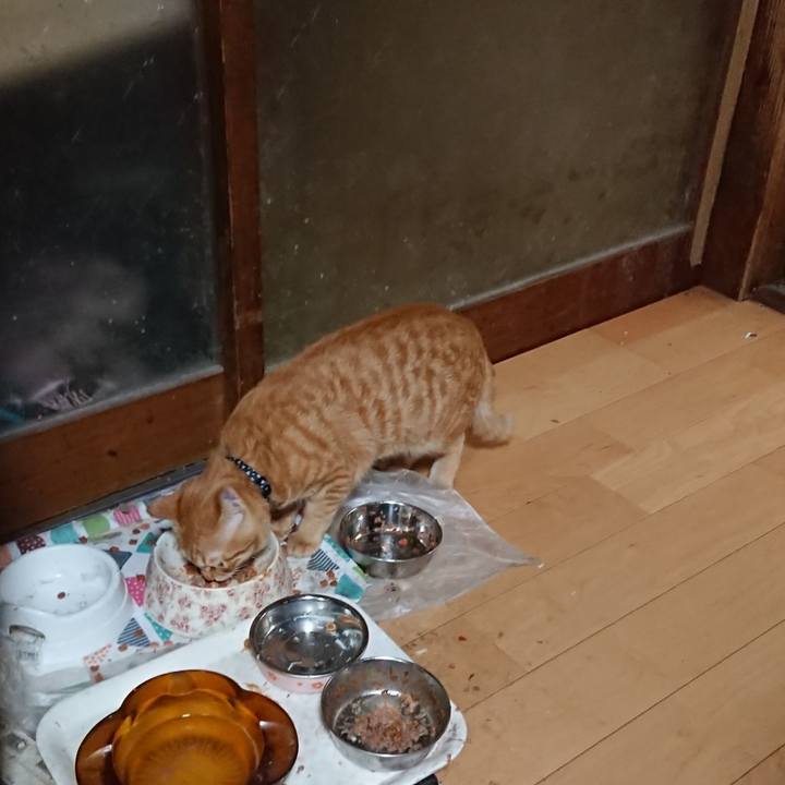 3eafc043 0bca 40ec be12 106d2b898411 1637663810658